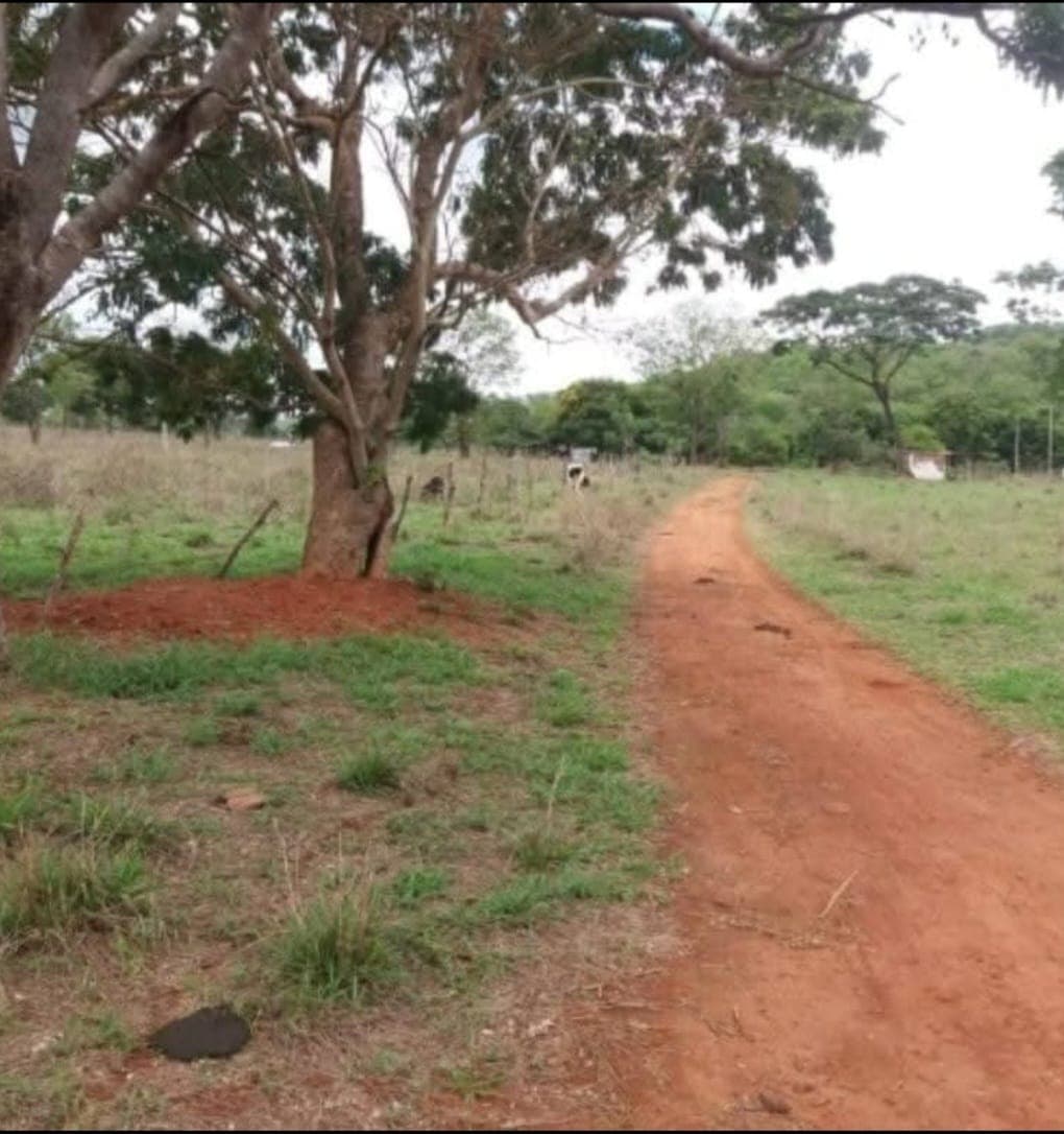Terreno / Lote / Condomínio em Área Rural - Goiânia