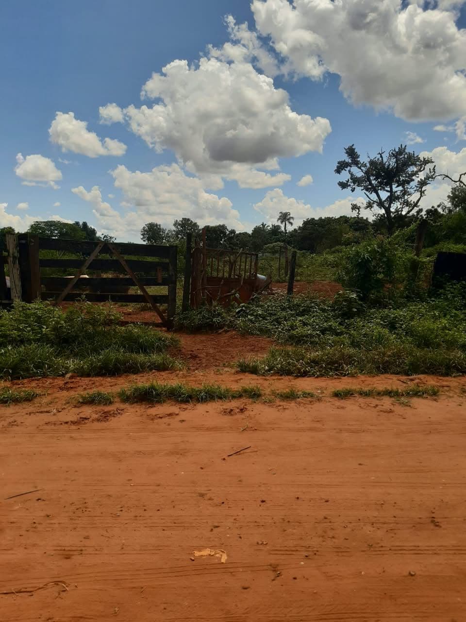 Terreno / Lote / Condomínio em Jockey Camping - Uberlândia