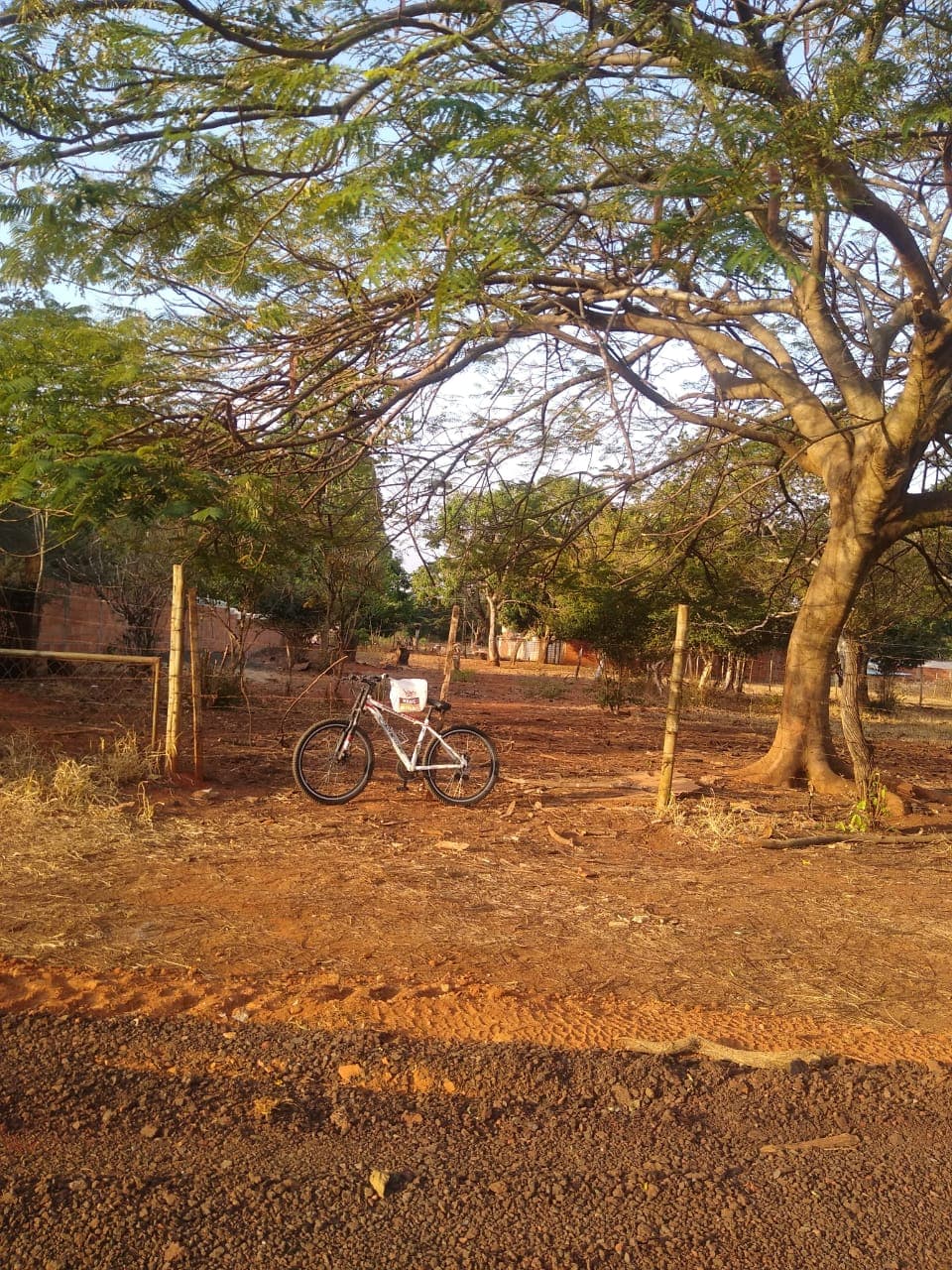 Terreno / Lote / Condomínio em Morada dos Pássaros - Uberlândia