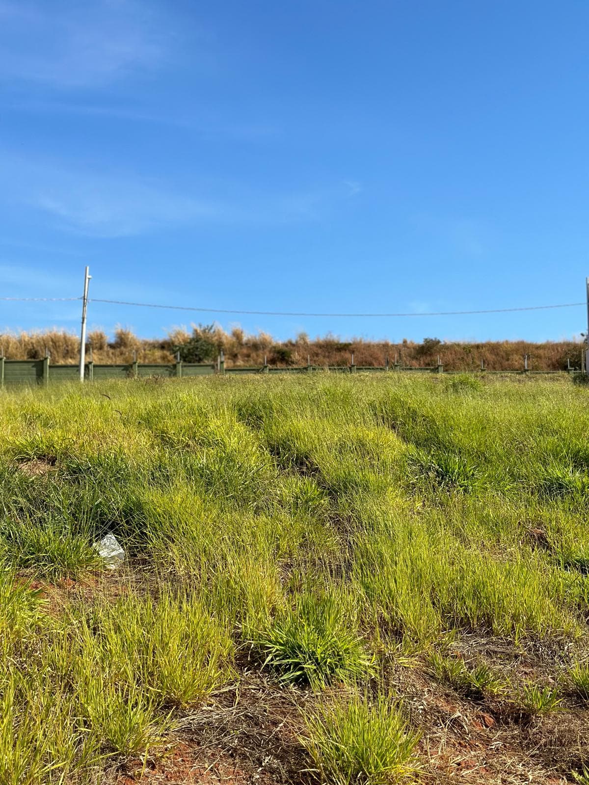 Terreno / Lote / Condomínio em Granja Marileusa - Uberlândia
