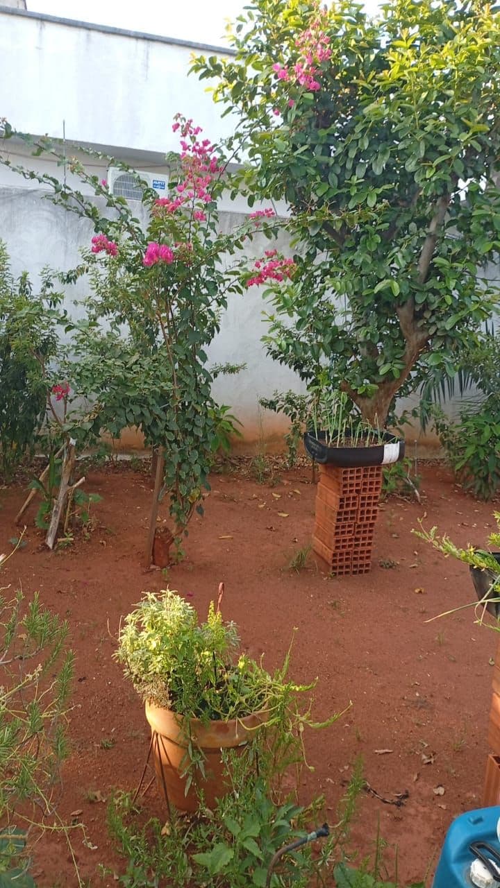 Casa em Vila Jardim Pompéia - Goiânia
